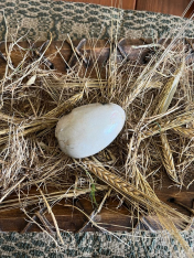 METAL WHITE EGG AVAIL JAN 2026